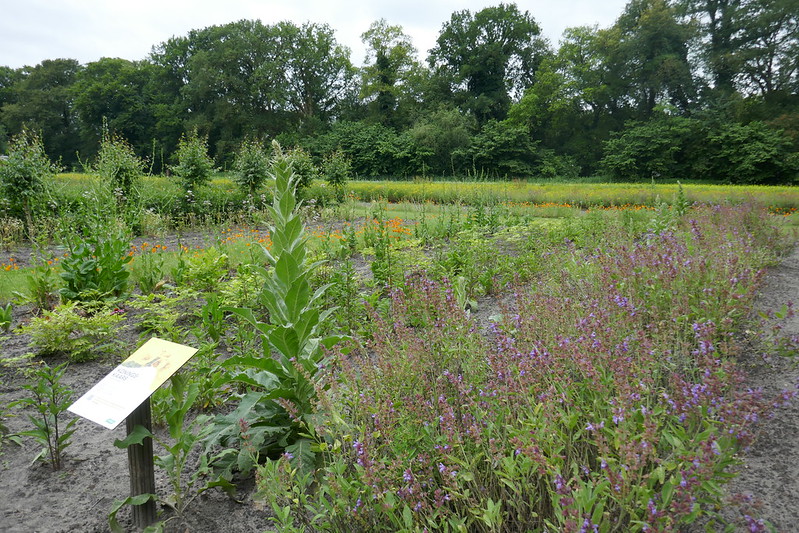 Foto: Wandel mee over het Vrijheijtpad