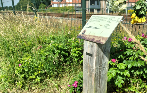 Foto: Treinbeschieting Hattemerbroek herdacht