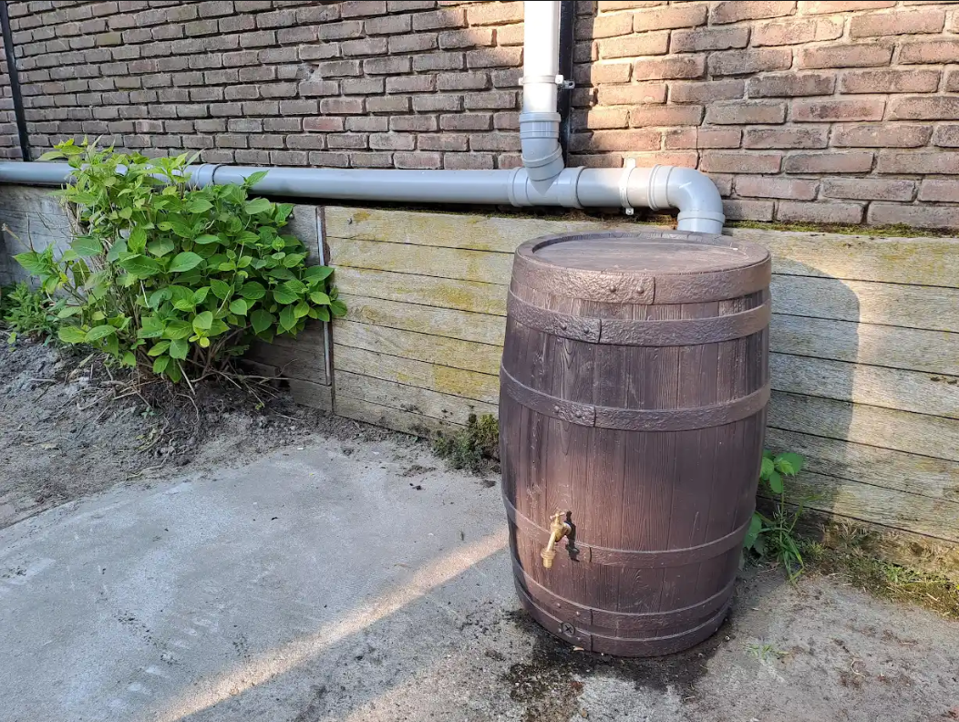 Foto: Subsidie voor je tuin!