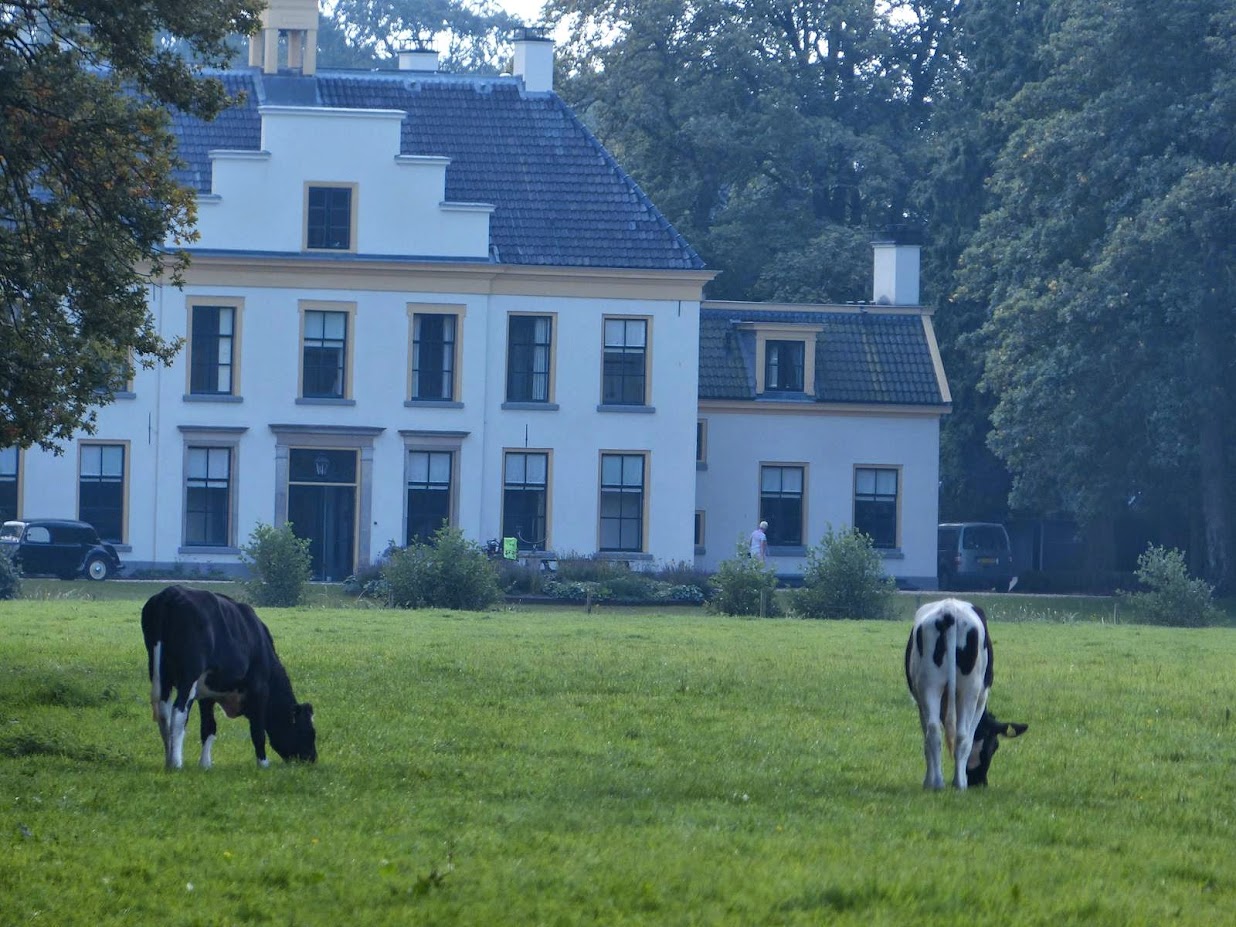Foto: Muzikale delicatessen door Vlaams topduo in Huis Schouwenburg