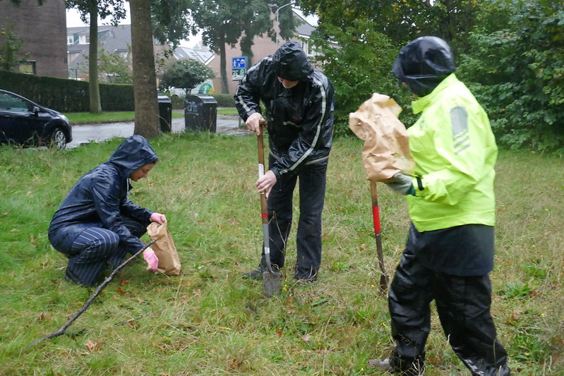 Foto: Krokusbollen geplant in Wezep en Hattemerbroek