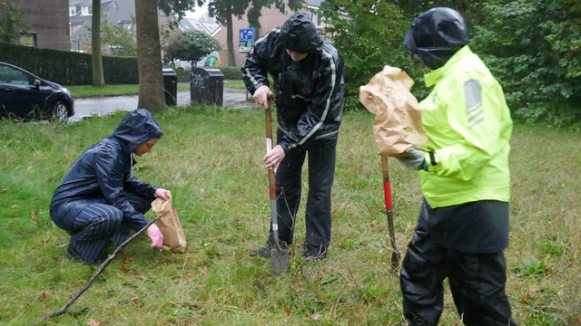 Foto: Krokusbollen geplant in Wezep en Hattemerbroek