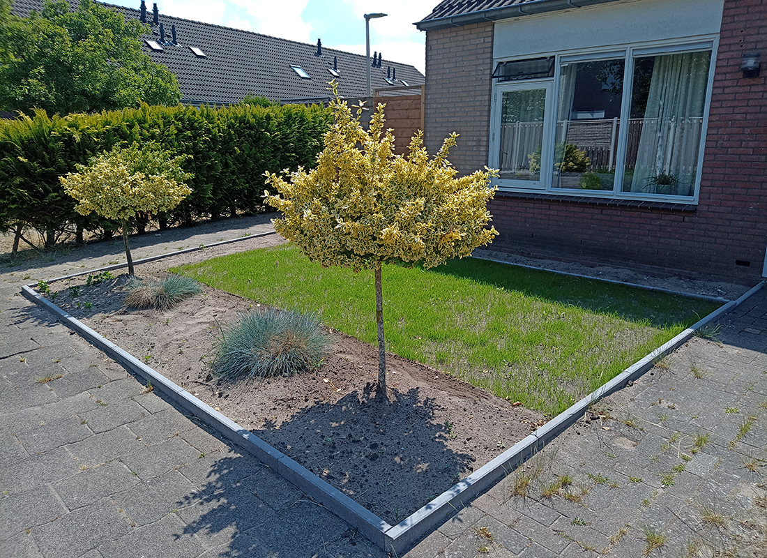 Foto: Je tuin groener maken? De moeite waard! 