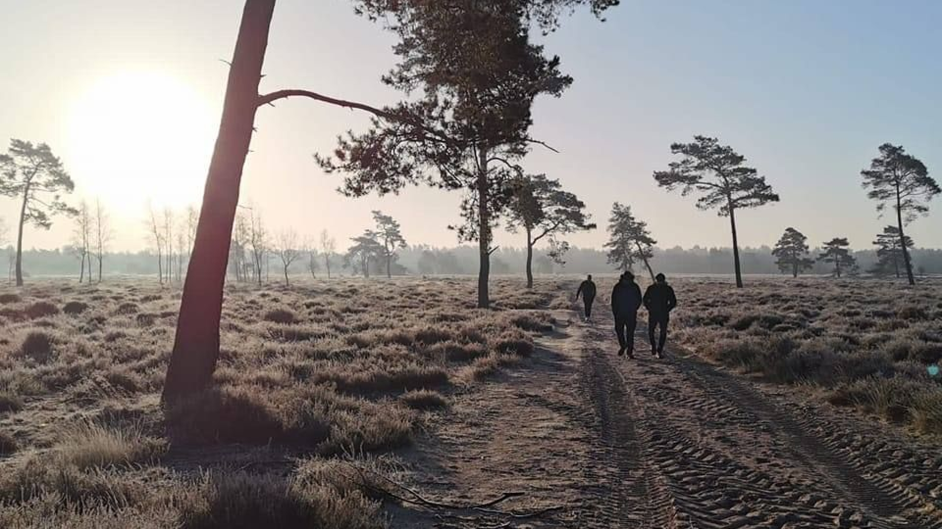 Foto: Stichting Choice organiseert HENOCH Wandeling