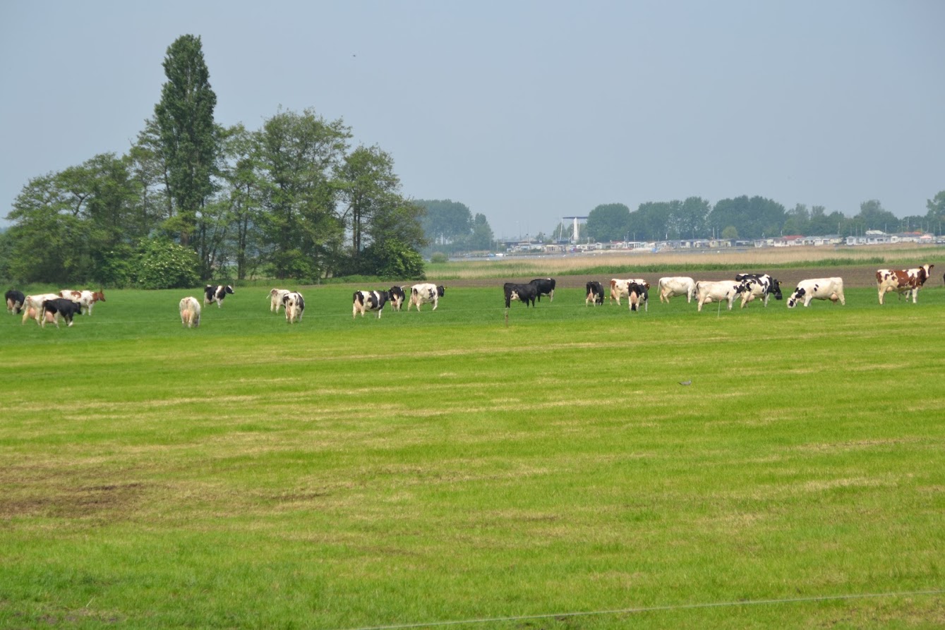 Foto: Meepraten over het Gelderse landbouwbeleid