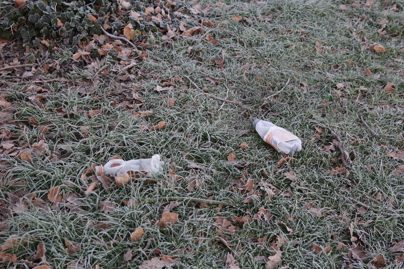 Foto: Word je ook een Wijkheld?