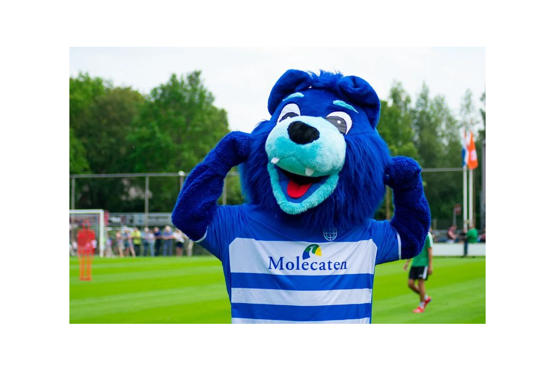 Foto: S.V. ‘t Harde – Albert Heijn Supermarkt G-voetbal voor de 19e keer georganiseerdaldag 