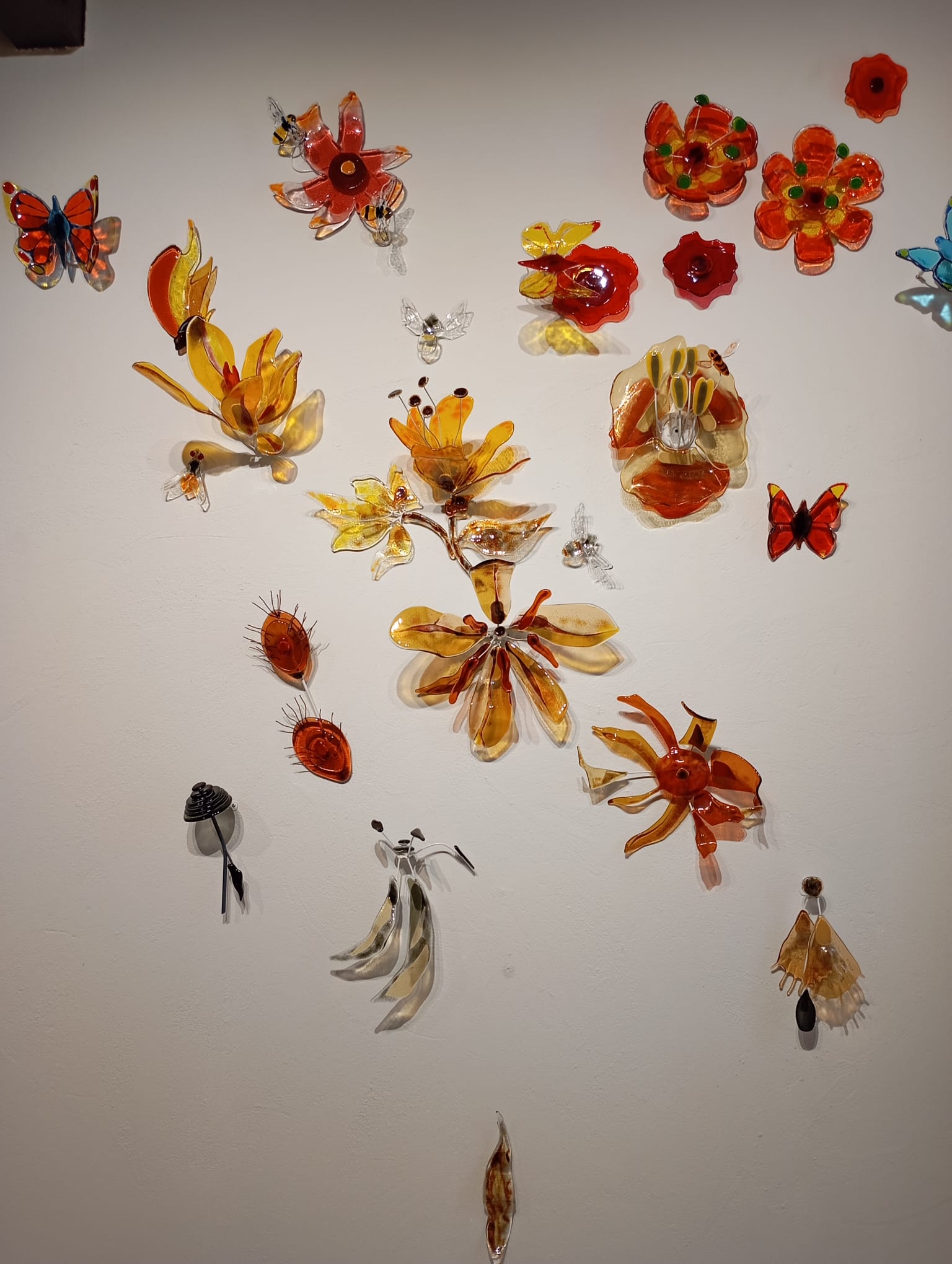 Foto: 'Insekten en andere kriebelbeestjes' in Museum Elburg