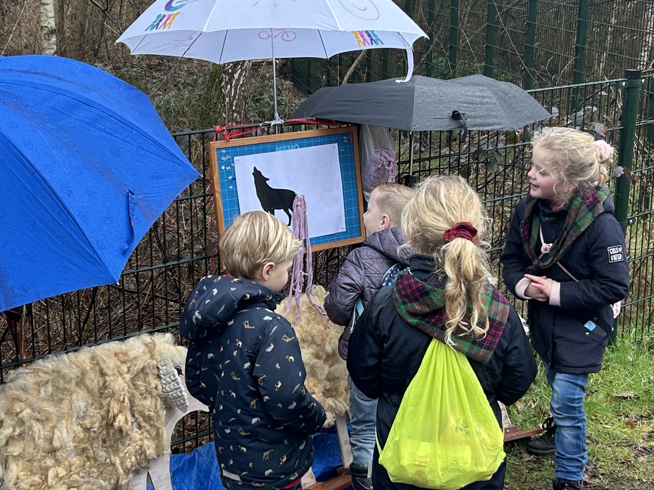 Foto: Scouts lopen mooie BP-tocht in ’t Harde