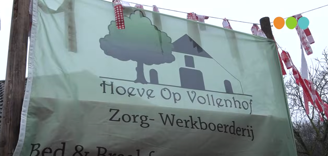 Foto: Opknappen van afrastering en bloemetjes buiten zetten