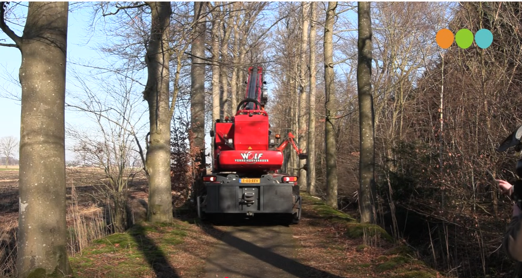 Foto: Video: Speciale machine zaagt beuken om in laan IJsselvliedt
