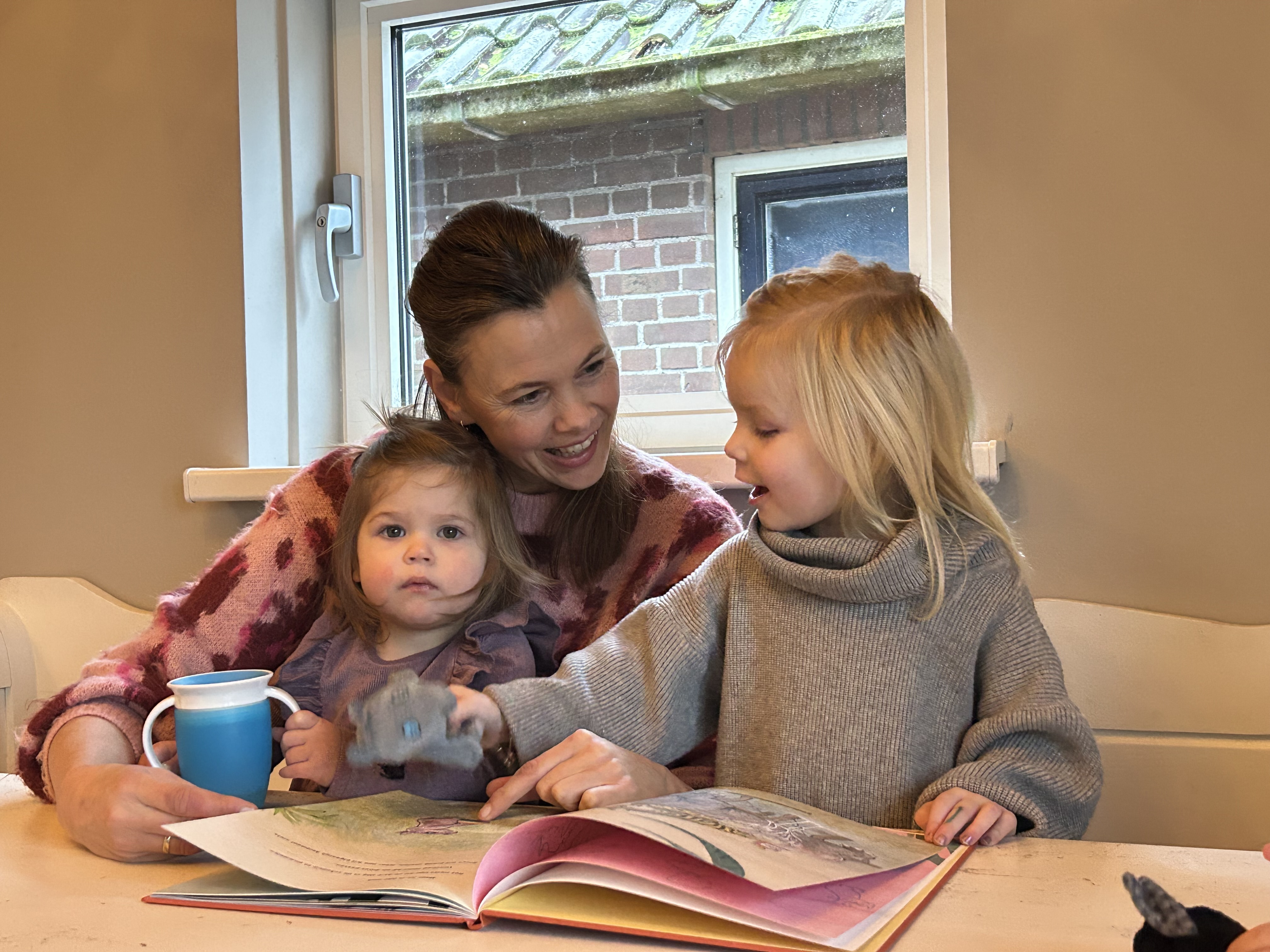 Foto: Prentenboek voor gastouderopvang Het Schaapje in Oosterwolde