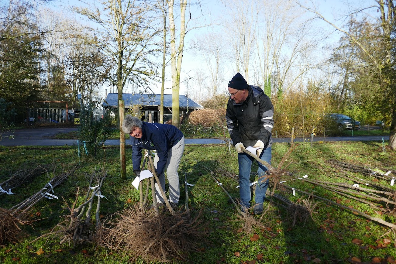 Foto: Inschrijflijst razendsnel vol: 200 hoogstamfruitbomen in trek bij inwoners Oldebroek