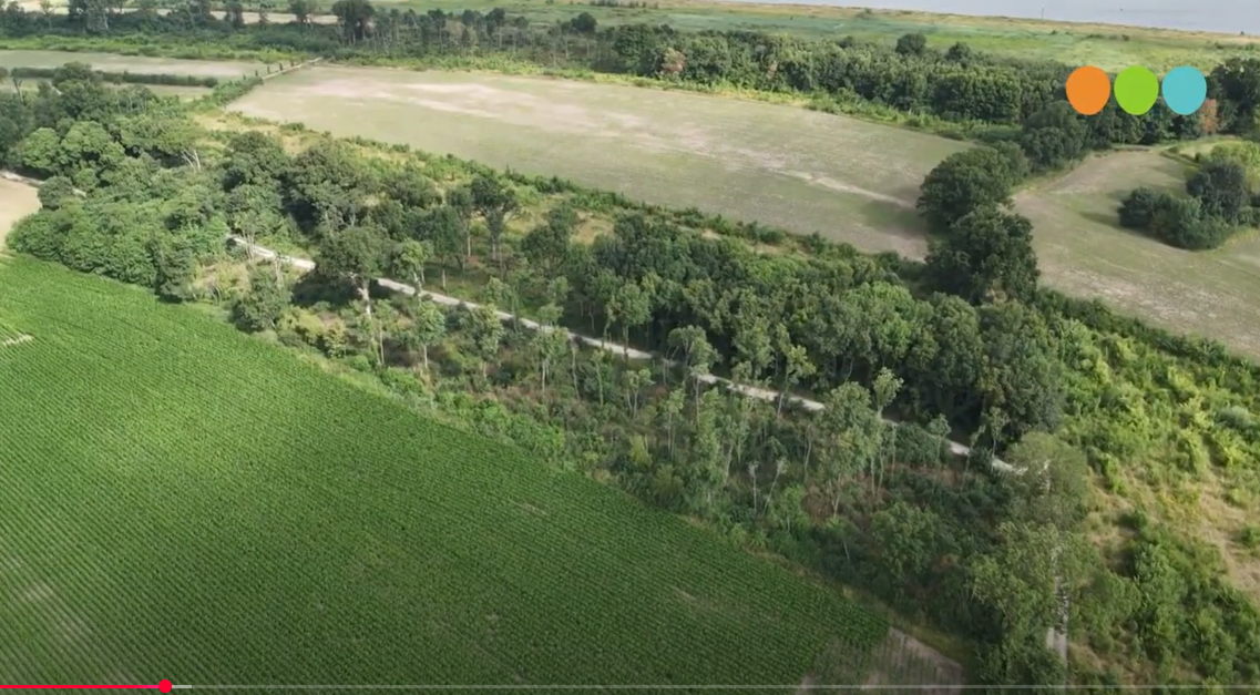 Foto: VIDEO: Zalkerbos: Oeroud natuurmonument langs de IJssel krijgt nieuwe toekomst