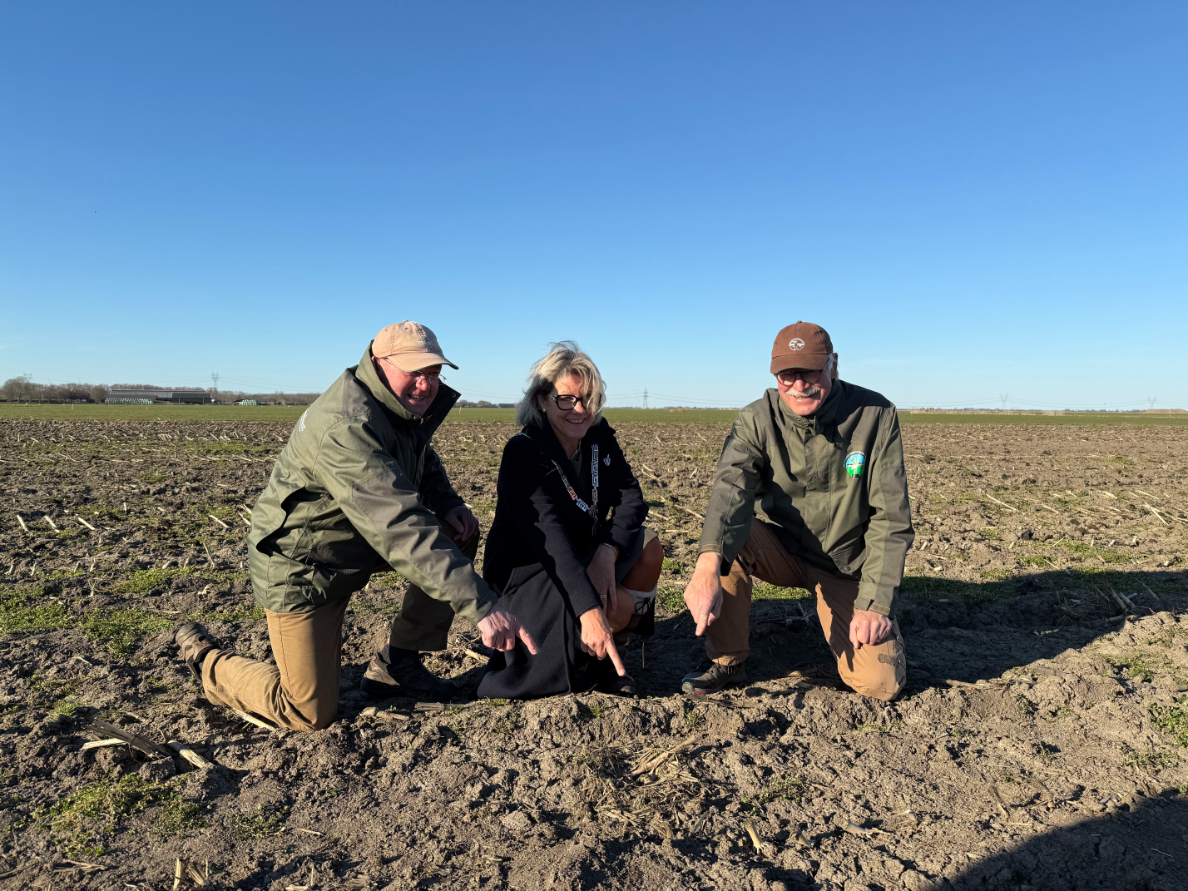 Foto: Joop Bosman en Marien van der Ende vinden eerste kievitsei in Oldebroek