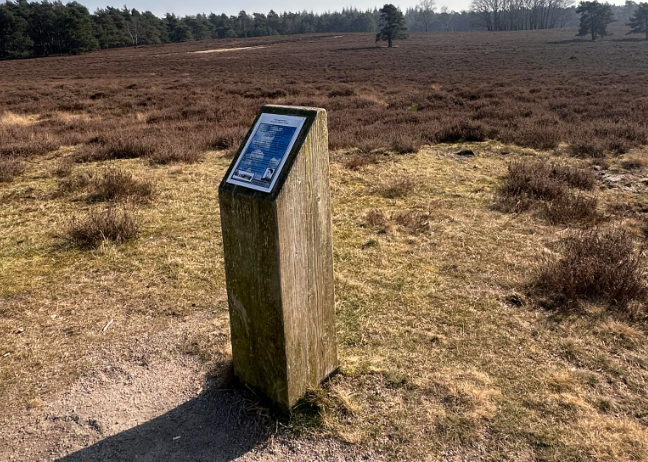 Foto: Tieners vinden oefenlandmijn op Wezepsche Heide