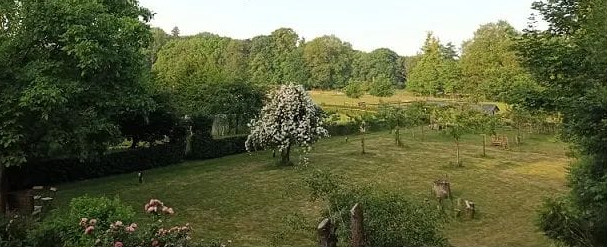 Foto: Tuinvrijwilliger gezocht