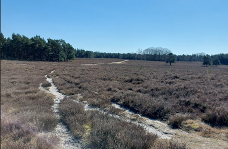 Foto: Het Wiseperpad is een aanrader