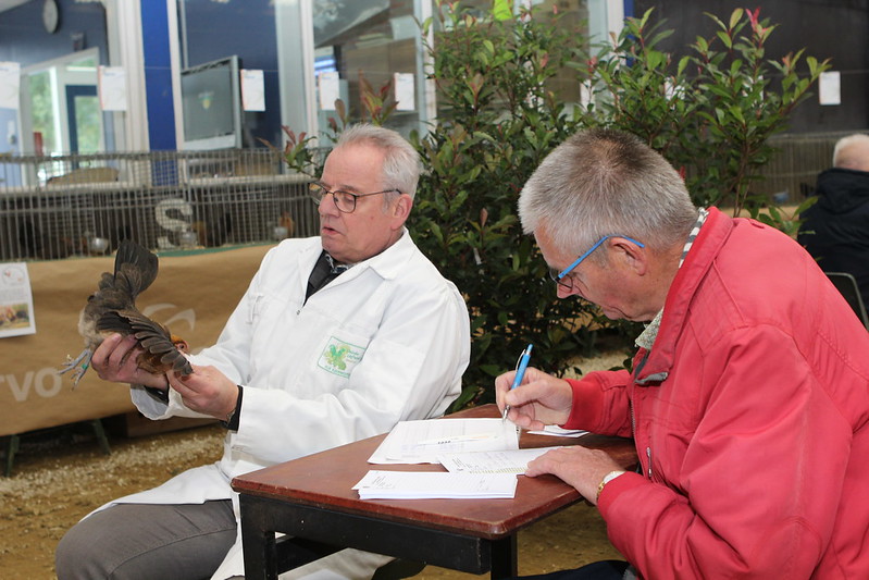 Foto: VIDEO: 34ste editie van de IJsselvliedtshow in Hattem