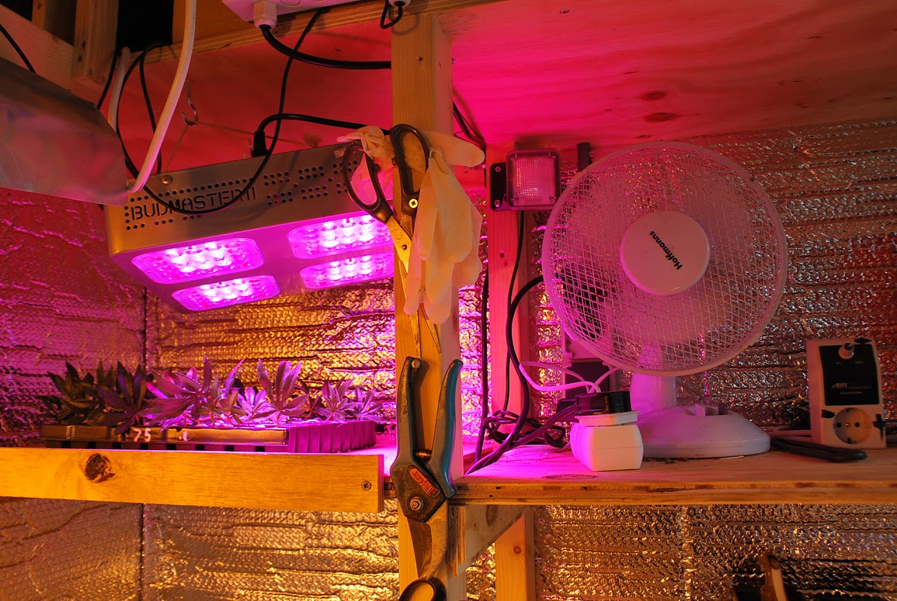 Foto: Hennepkwekerijen herkennen: help mee aan een veilige buurt