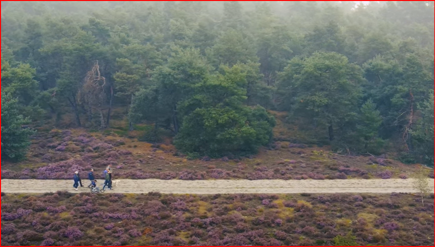 Foto: HENOCH-wandeling voor mannen op 28 februari