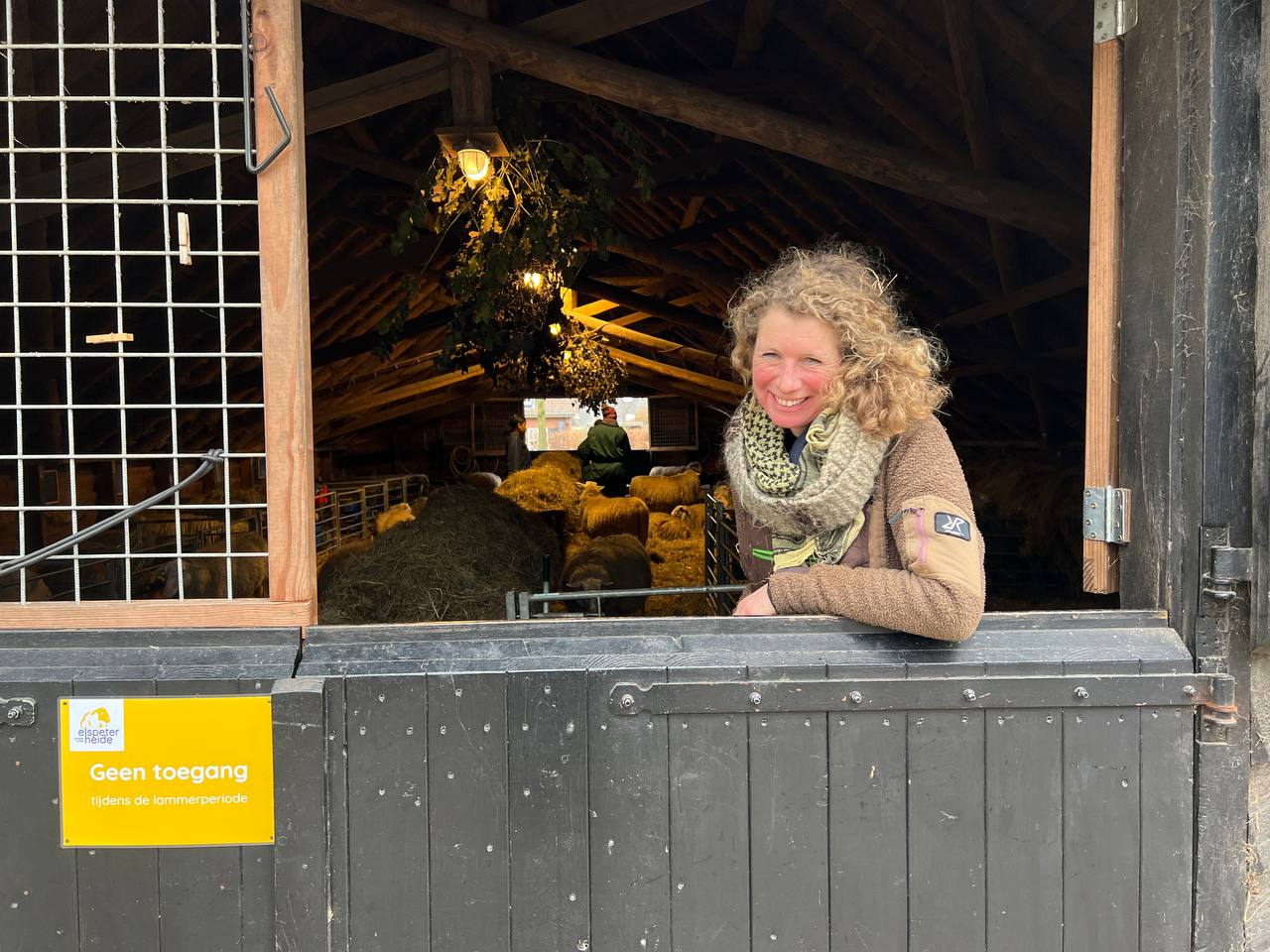 Foto: Eerste lammetjes geboren bij Schaapskudde Elspeter Heide