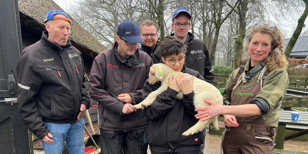 Foto: Eerste lammetje geadopteerd door Tuingroep De Stek