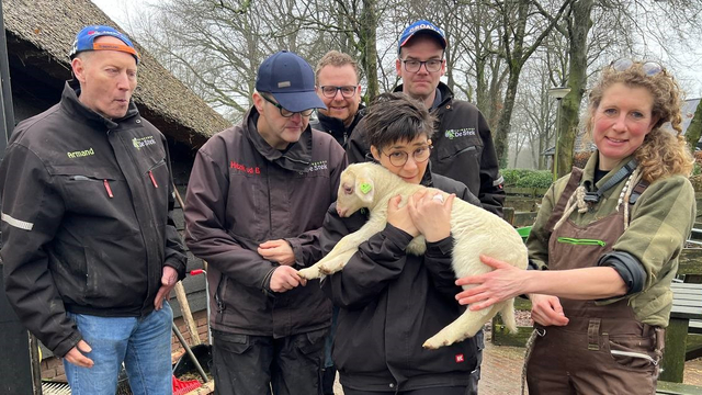 Foto: Eerste lammetje geadopteerd door Tuingroep De Stek