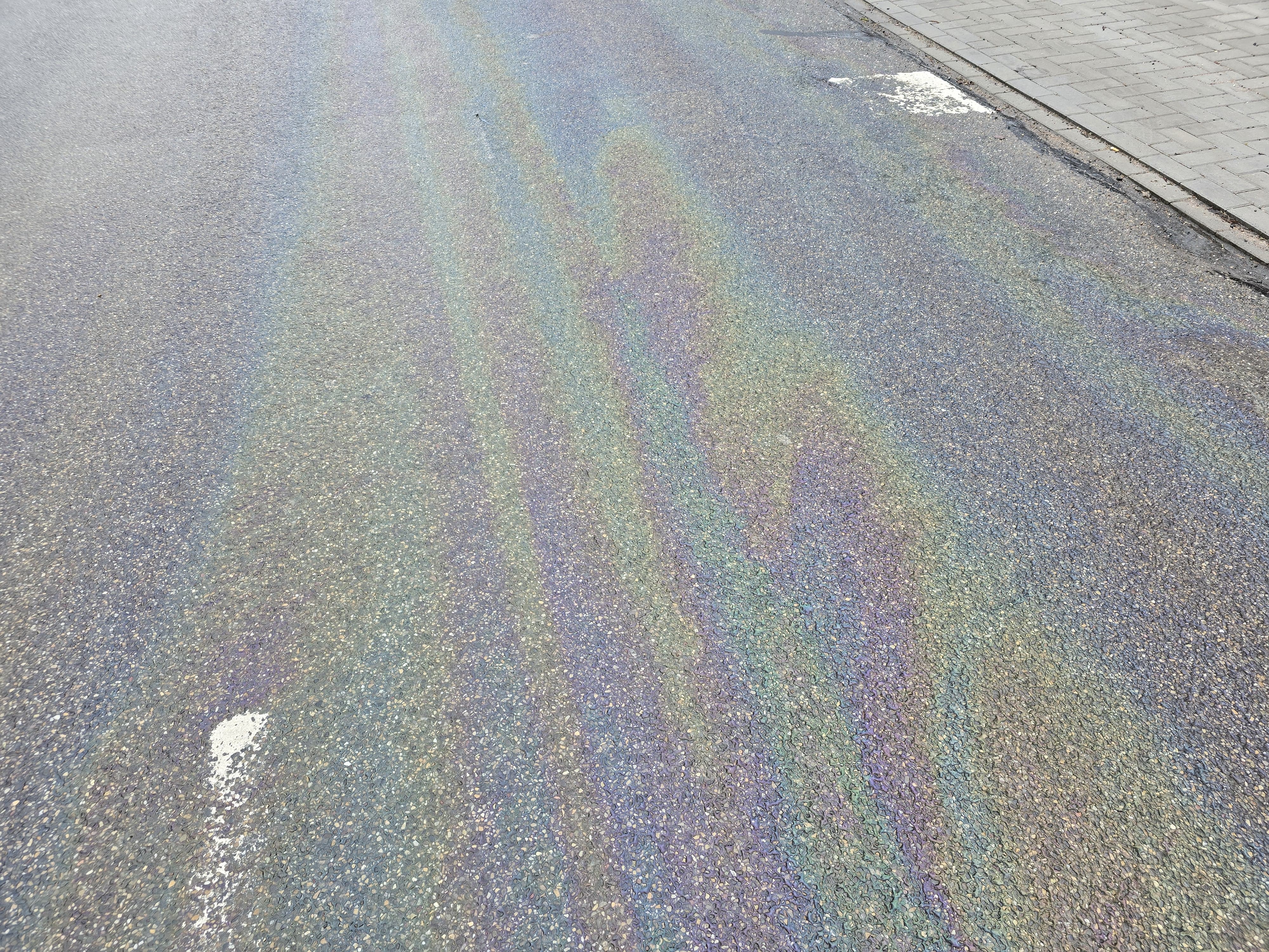 Foto: Grote oliesporen op de Jan Topweg in Nunspeet