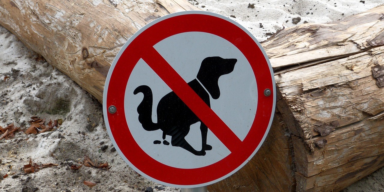 Foto: Hondenbeleid in de Gemeente Nunspeet