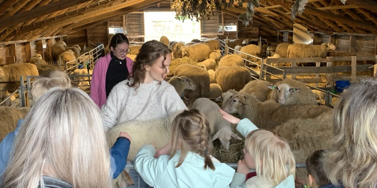 Foto: Drukte en gezelligheid bij Lammetjesmiddag Elspeet  (VIDEO)
