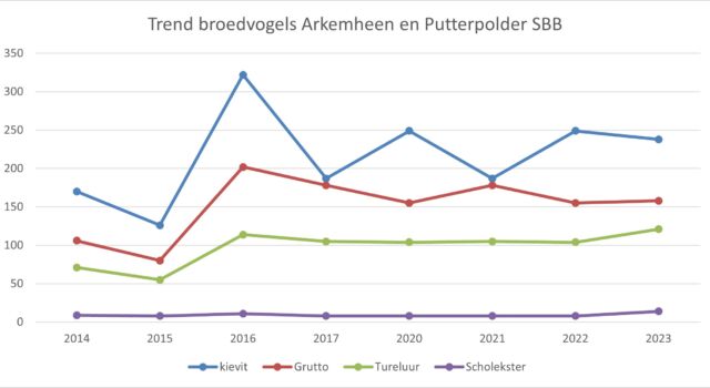 Foto: De weidevogels van Arkemheen