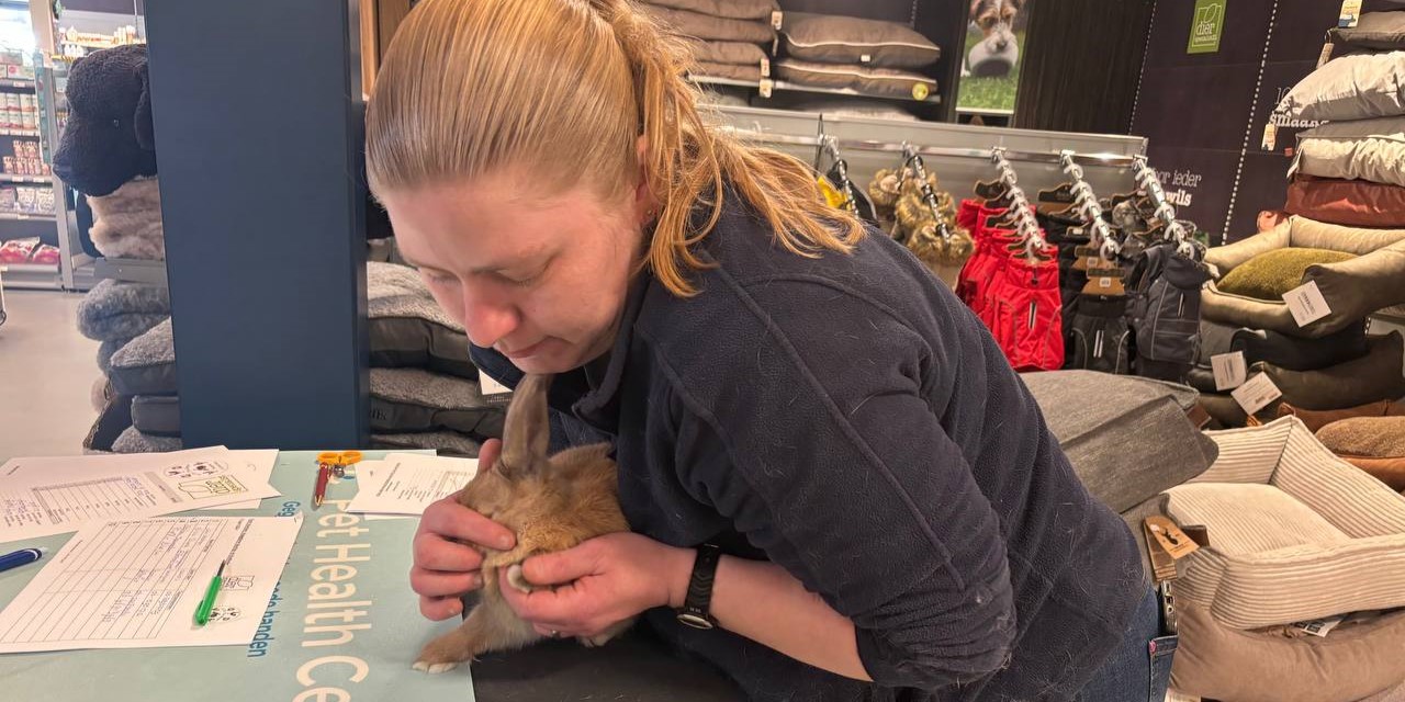 Foto: Lieve dag bij Dierenspecialist Berben: Konijnen en knaagdieren worden geknuffeld en gekeurd
