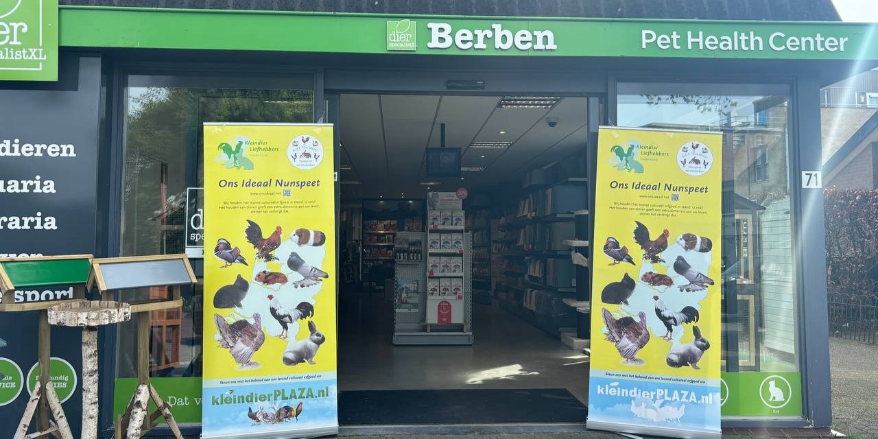 Foto: Lieve dag bij Dierenspecialist Berben: Konijnen en knaagdieren worden geknuffeld en gekeurd