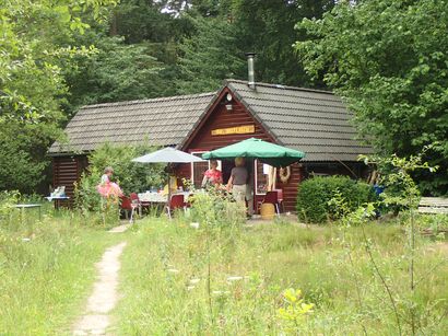 Foto: Aziatische hoornaar ook naar Nunspeet?