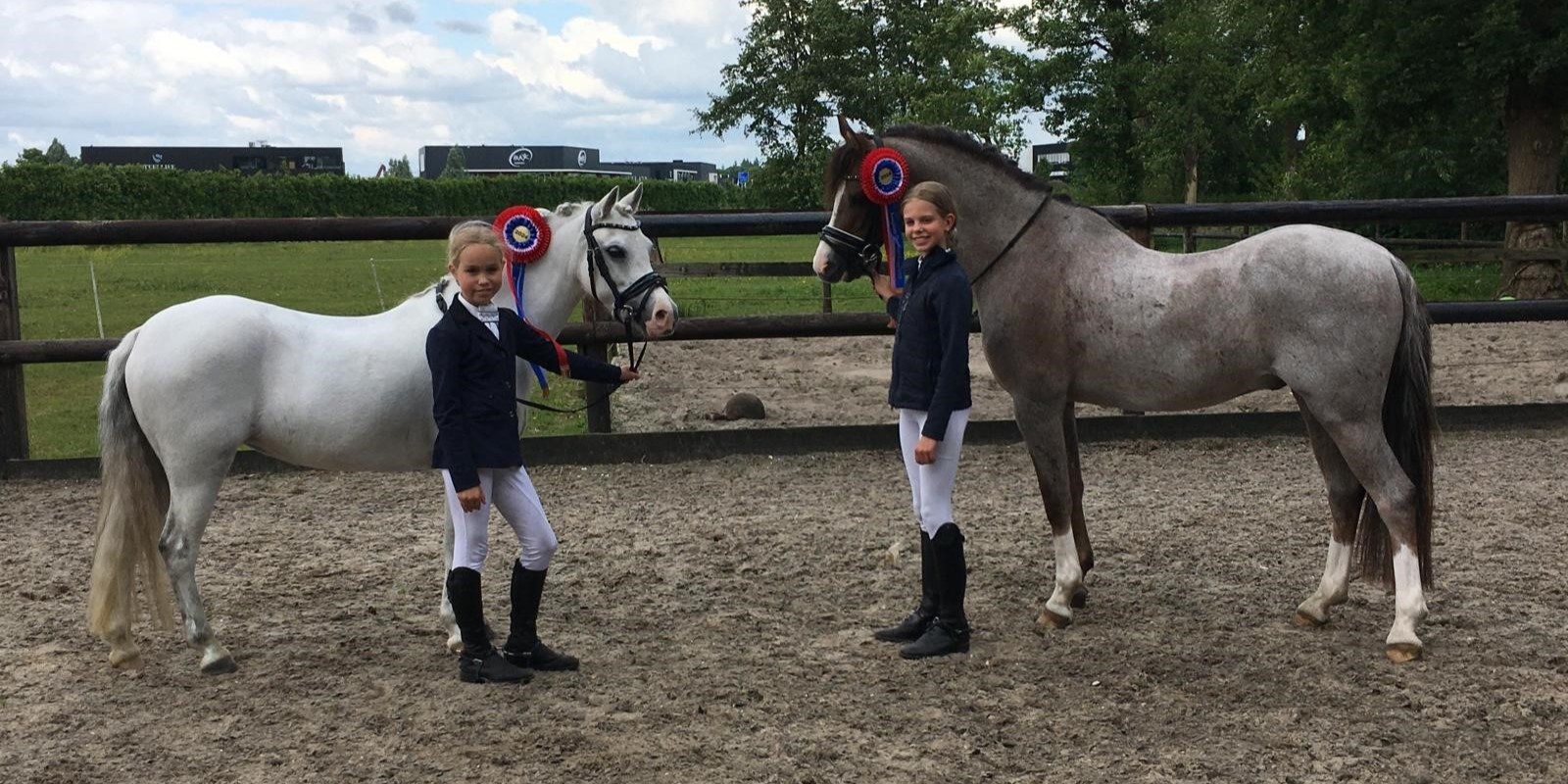 Foto: Ponyclub Klein Maar Dapper zes Kringkampioenen Dressuur rijker