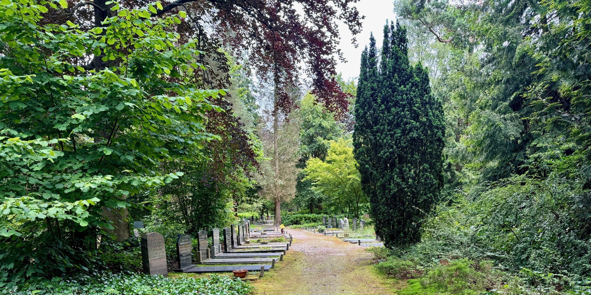 Foto: Op Nunspeetse begraafplaatsen zoek je graven voortaan eenvoudig met een QR-code