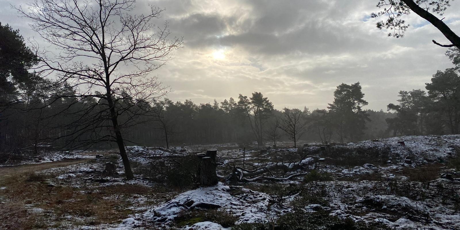 Foto: Boswerkzaamheden vlakbij Vierhouten vanaf 15 juli
