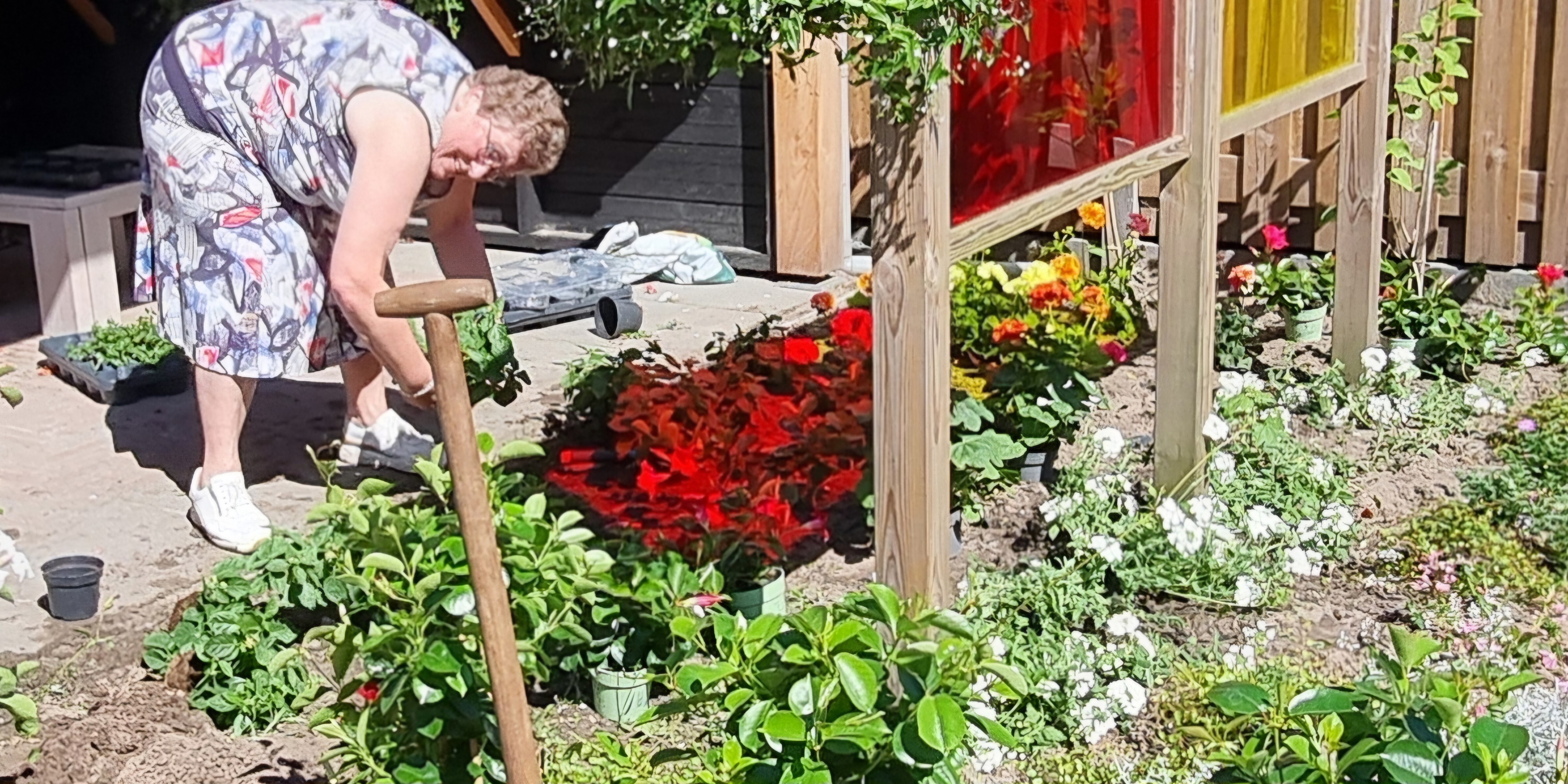 Foto: Schenking perkplanten aan Philadelphia Laan 19 en Seewende