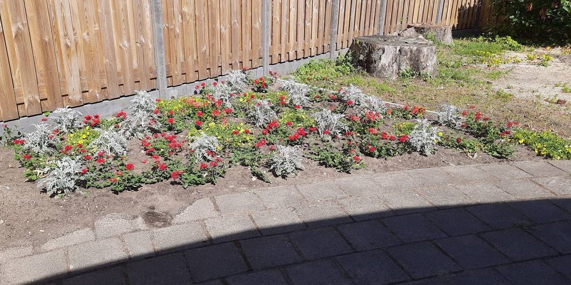 Foto: Schenking perkplanten aan Philadelphia Laan 19 en Seewende