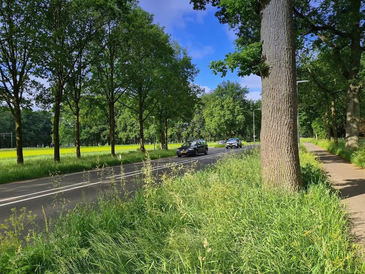 Foto: Geluidsplafonds vastgesteld op Gelderse N-wegen 