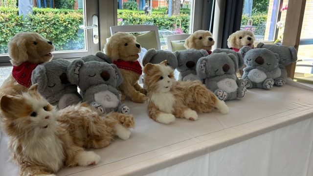 Foto: Seewende ontvangt gift van Joke: ‘Mijn man had veel aan deze knuffels in zijn laatste tijd’