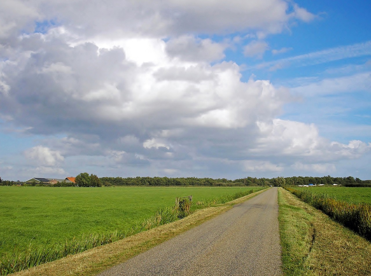 Foto: Subsidie voor erfbeplanting in het buitengebied gemeente Nunspeet