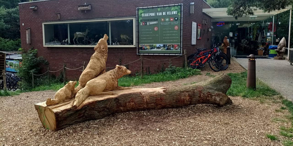 Foto: Leuke zomeractiviteiten bij Bezoekerscentrum Nunspeet