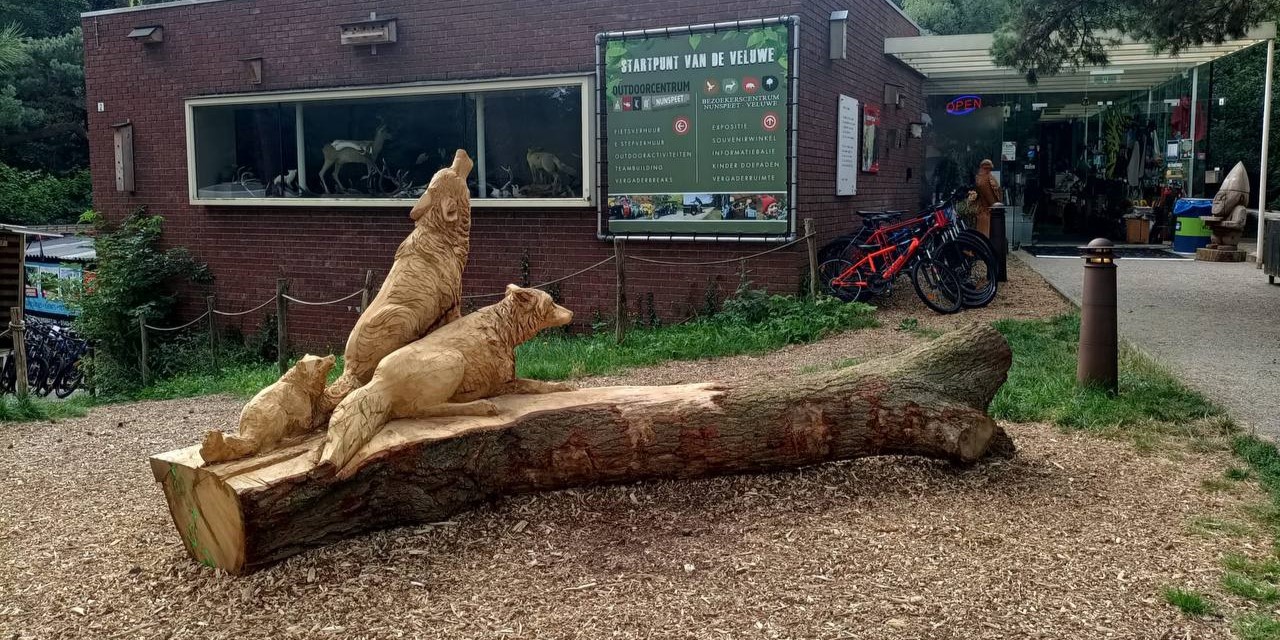Foto: Leuke zomeractiviteiten bij Bezoekerscentrum Nunspeet