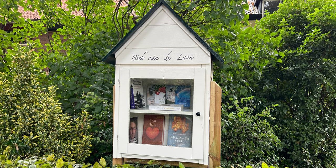 Foto: Openbare miniboekenkasten in Nunspeet