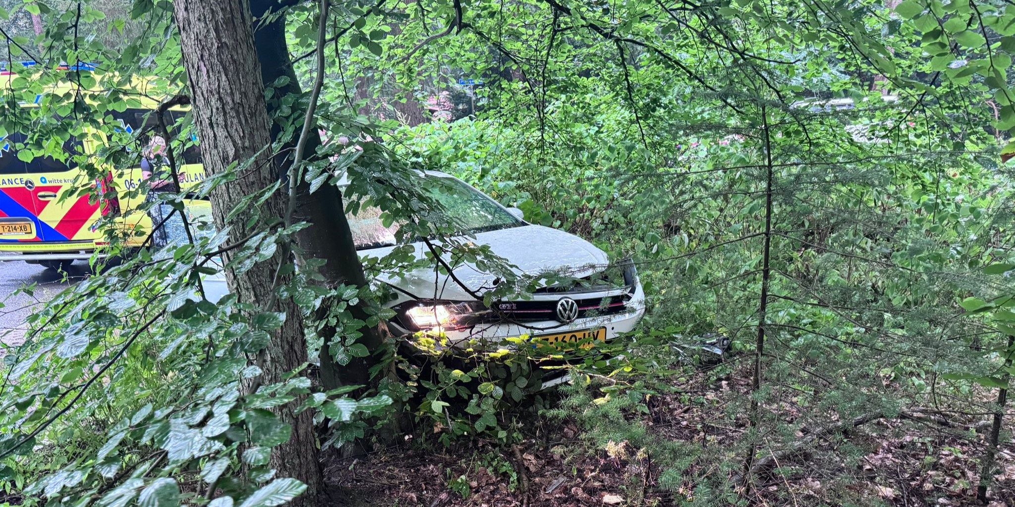 Foto: Auto botst tegen boom in Vierhouten