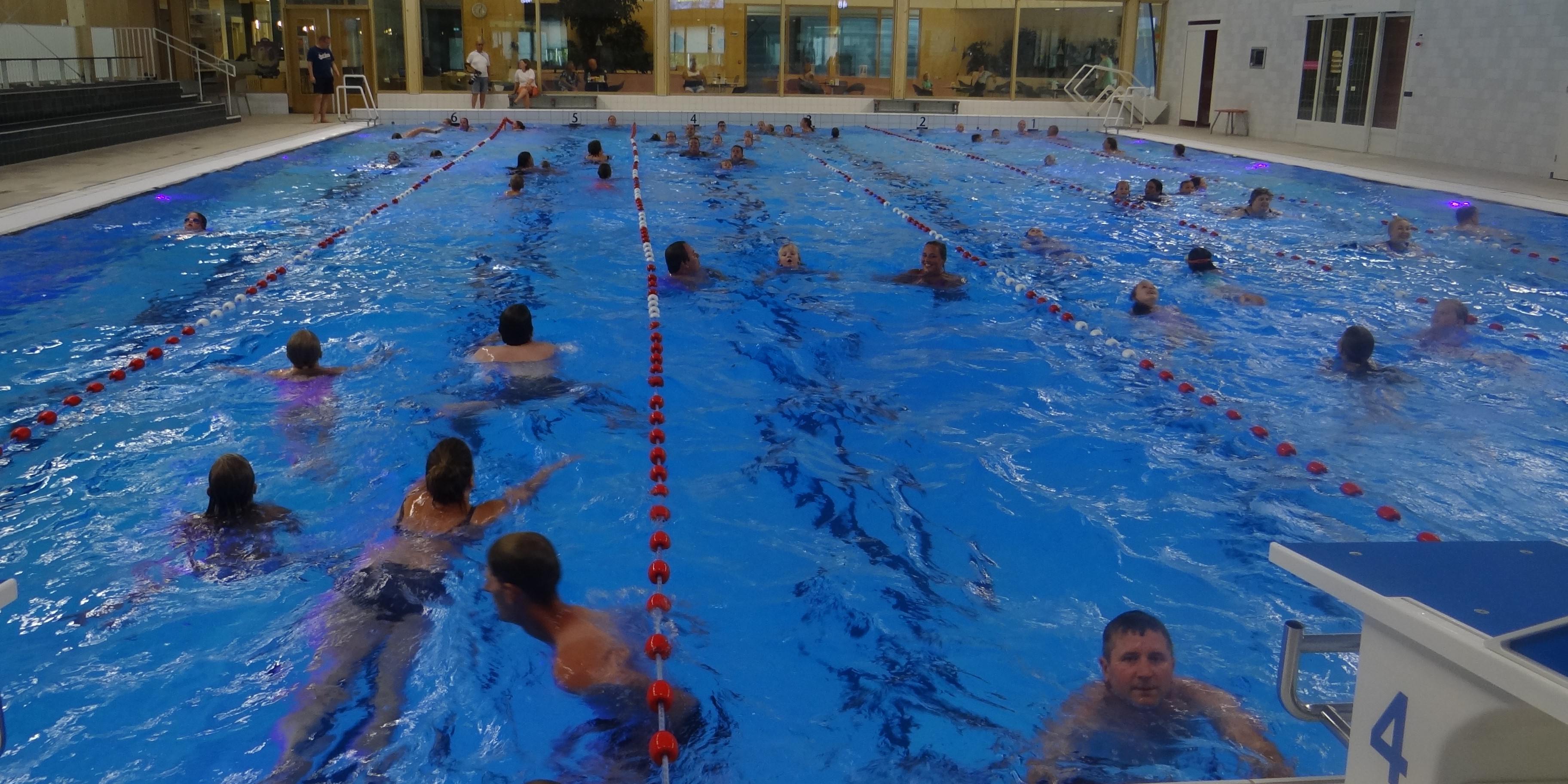 Foto: Animo Zwemvierdaagse groeit