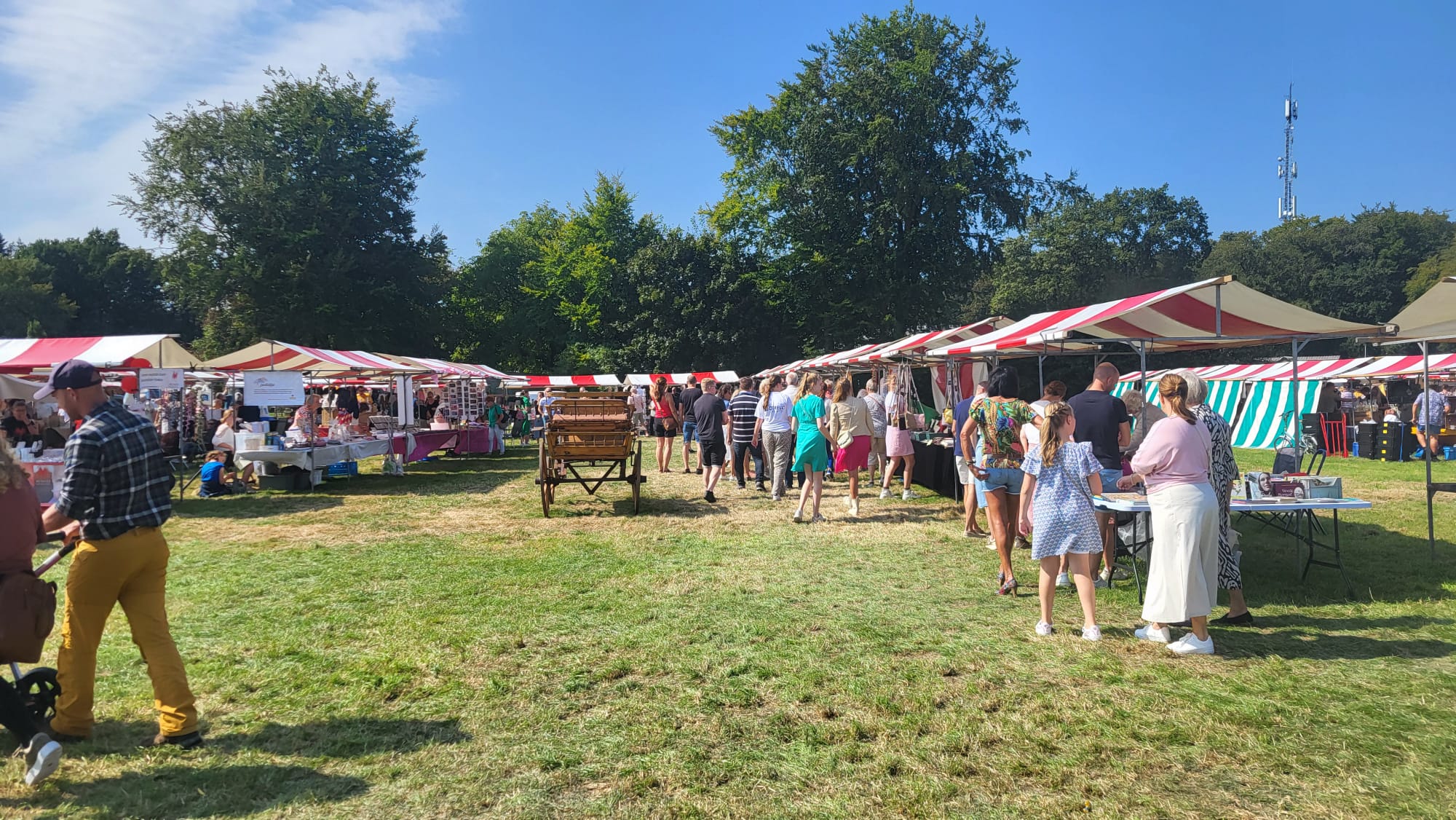 Foto: Boer’ndag Elspeet: Een lokaal evenement met een kampioenschap