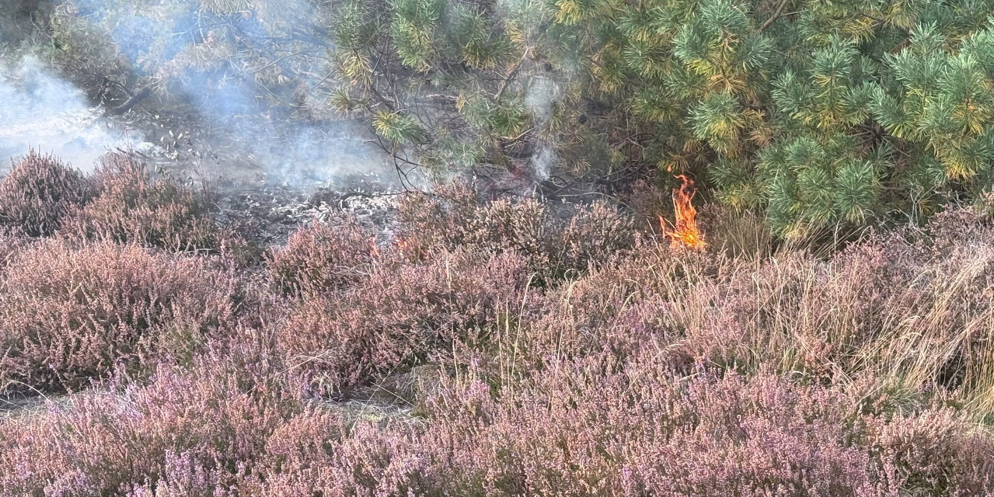 Foto: Brand aan 't Frusselt in Vierhouten